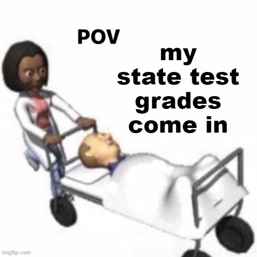 I haven't even taken it yet and I'm panicking smfh- WE HAVE TO DO A SCIENCE ONE AS WELL, NOT JUST MATH & ENGLISH SMH. | my state test grades come in | image tagged in pov template | made w/ Imgflip meme maker