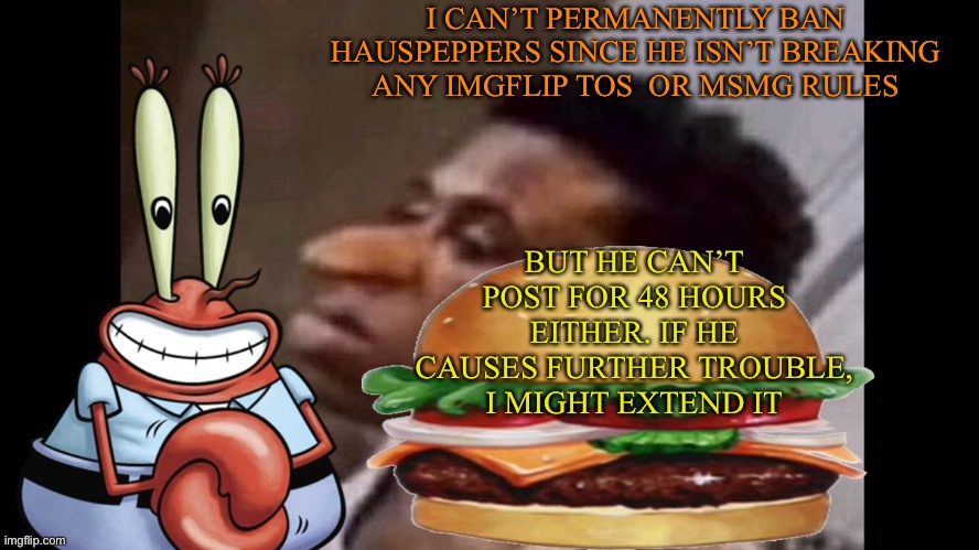 Sir-Quandale-dingle-69 (thx @funstream-is-unfunny) | I CAN’T PERMANENTLY BAN HAUSPEPPERS SINCE HE ISN’T BREAKING ANY IMGFLIP TOS  OR MSMG RULES; BUT HE CAN’T POST FOR 48 HOURS EITHER. IF HE CAUSES FURTHER TROUBLE, I MIGHT EXTEND IT | image tagged in sir-quandale-dingle-69 thx funstream-is-unfunny | made w/ Imgflip meme maker