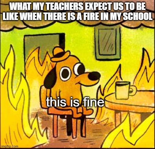my school | WHAT MY TEACHERS EXPECT US TO BE LIKE WHEN THERE IS A FIRE IN MY SCHOOL; this is fine | image tagged in this is fine | made w/ Imgflip meme maker