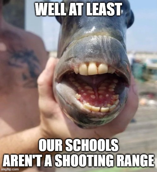 WeLl At LeAsT | WELL AT LEAST; OUR SCHOOLS AREN'T A SHOOTING RANGE | image tagged in well at least british fish | made w/ Imgflip meme maker
