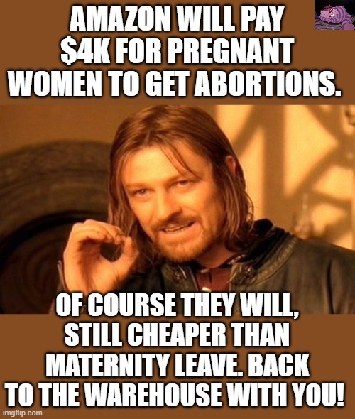 They call us Handmaids Tale | AMAZON WILL PAY $4K FOR PREGNANT WOMEN TO GET ABORTIONS. OF COURSE THEY WILL, STILL CHEAPER THAN MATERNITY LEAVE. BACK TO THE WAREHOUSE WITH YOU! | image tagged in memes,one does not simply | made w/ Imgflip meme maker