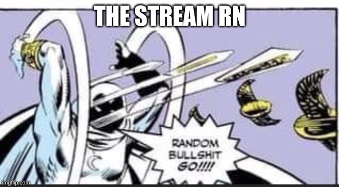 Random Bullshit Go | THE STREAM RN | image tagged in random bullshit go | made w/ Imgflip meme maker