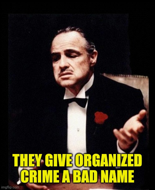 godfather | THEY GIVE ORGANIZED CRIME A BAD NAME | image tagged in godfather | made w/ Imgflip meme maker