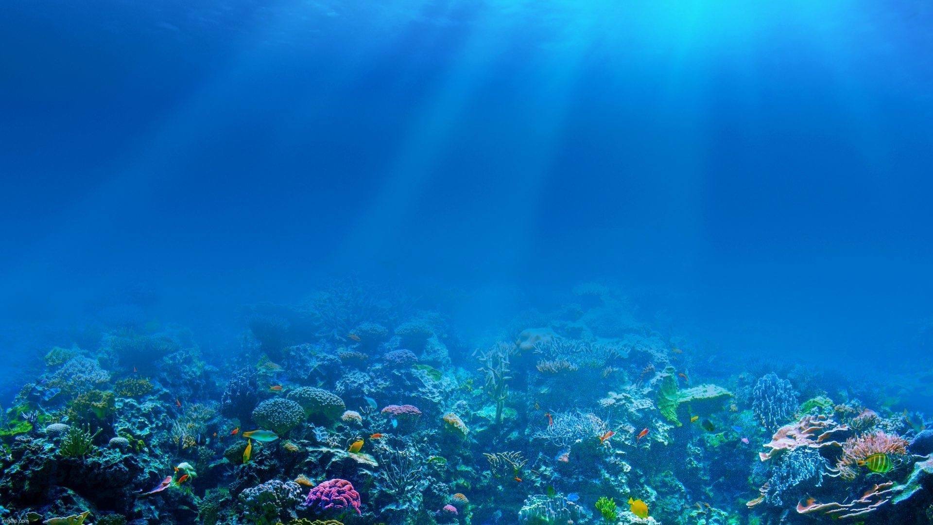 Screw it, I’mma post pictures of the ocean cuz | made w/ Imgflip meme maker