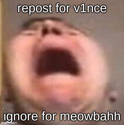 Now I know who v1nce is so I decide to repost it | made w/ Imgflip meme maker