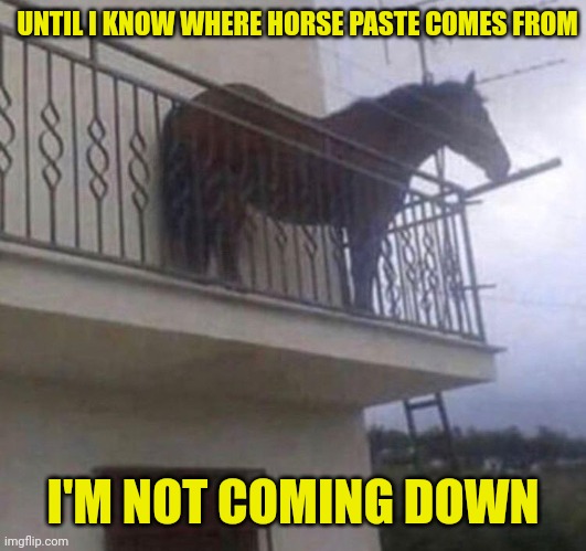 Juan | UNTIL I KNOW WHERE HORSE PASTE COMES FROM I'M NOT COMING DOWN | image tagged in juan | made w/ Imgflip meme maker