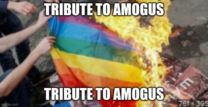Burning Flag | TRIBUTE TO AMOGUS TRIBUTE TO AMOGUS | image tagged in burning flag | made w/ Imgflip meme maker