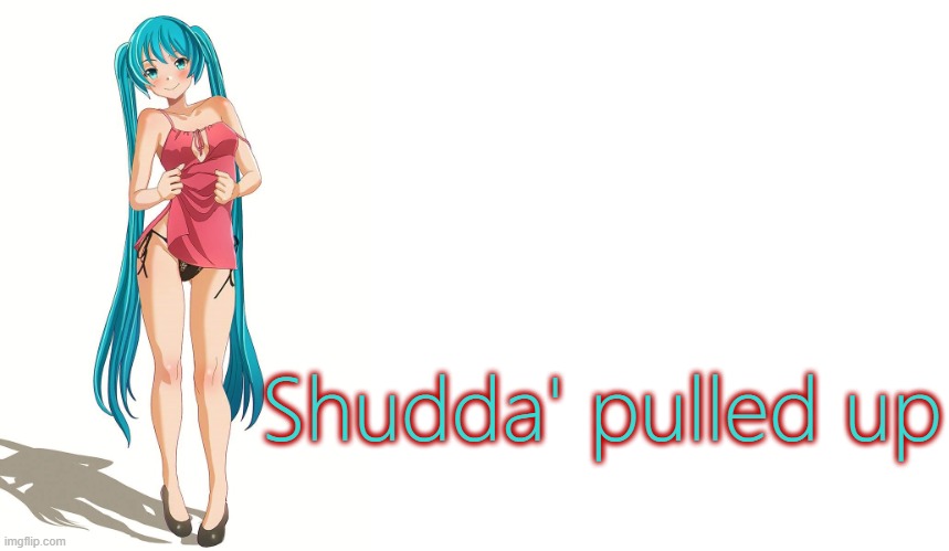 Sexy Miku pulling up her skirt | Shudda' pulled up | image tagged in sexy miku pulling up her skirt | made w/ Imgflip meme maker
