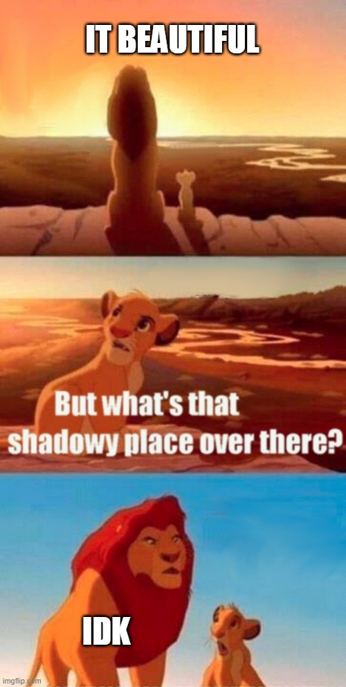 Simba Shadowy Place Meme | IT BEAUTIFUL; IDK | image tagged in memes,simba shadowy place | made w/ Imgflip meme maker