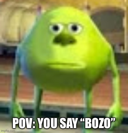 Sully Wazowski | POV: YOU SAY “BOZO” | image tagged in sully wazowski | made w/ Imgflip meme maker