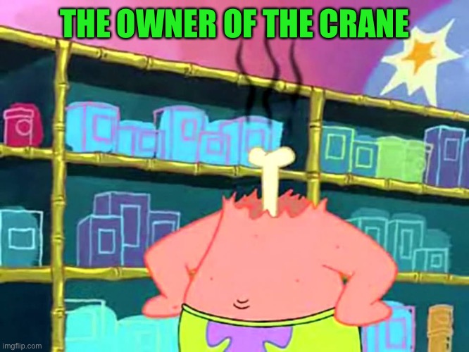 I don’t get it | THE OWNER OF THE CRANE | image tagged in i don t get it | made w/ Imgflip meme maker