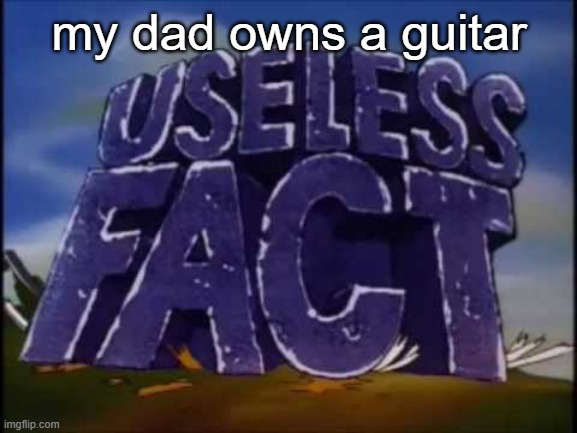 useless fact | my dad owns a guitar | image tagged in useless fact | made w/ Imgflip meme maker