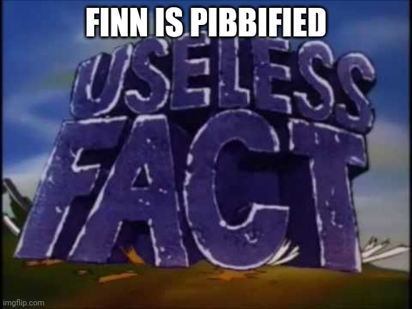 useless fact | FINN IS PIBBIFIED | image tagged in useless fact | made w/ Imgflip meme maker