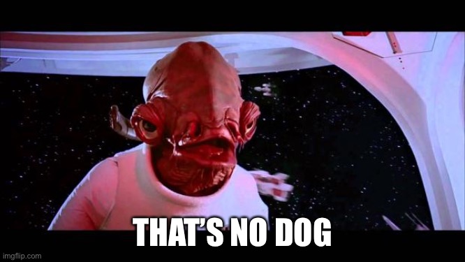 It's a trap  | THAT’S NO DOG | image tagged in it's a trap | made w/ Imgflip meme maker