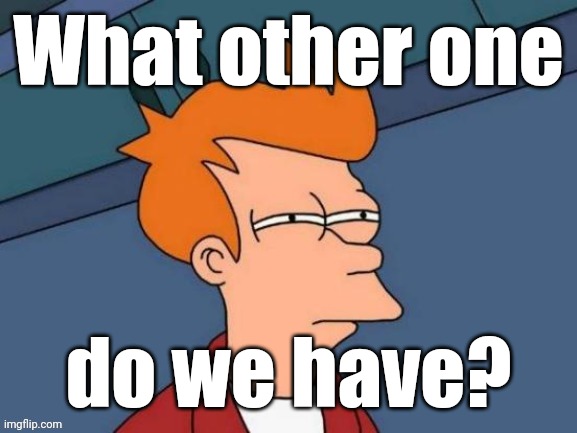 Fry is not sure... | What other one do we have? | image tagged in fry is not sure | made w/ Imgflip meme maker