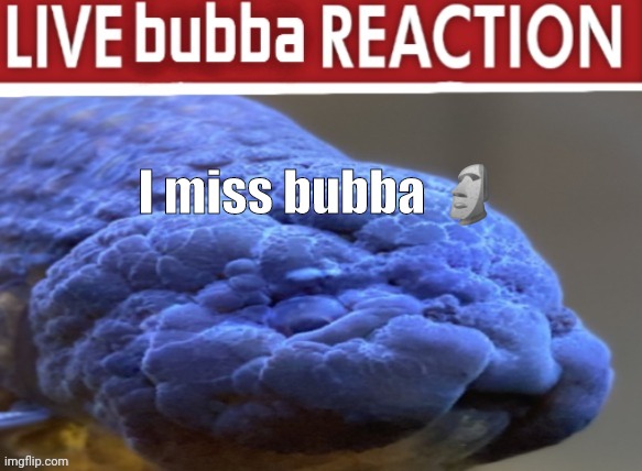 BIG BUBBA | I miss bubba 🗿 | image tagged in big bubba | made w/ Imgflip meme maker