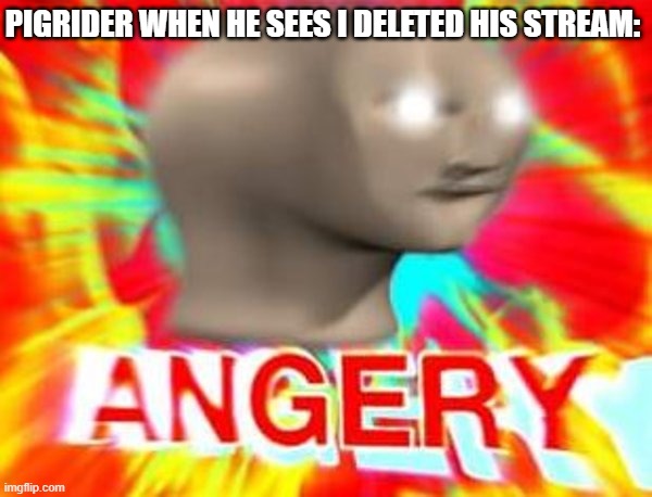 I never unbanned him either | PIGRIDER WHEN HE SEES I DELETED HIS STREAM: | image tagged in surreal angery,memes,president_joe_biden | made w/ Imgflip meme maker