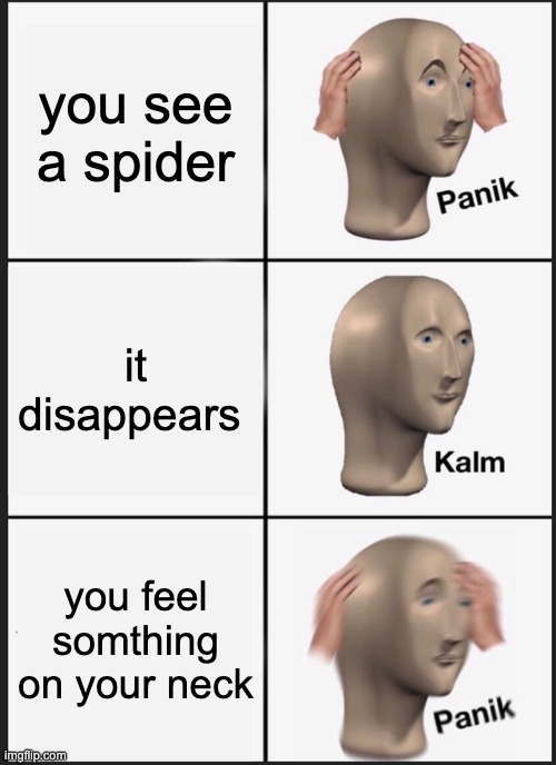 spooder | you see a spider; it disappears; you feel somthing on your neck | image tagged in memes,panik kalm panik | made w/ Imgflip meme maker