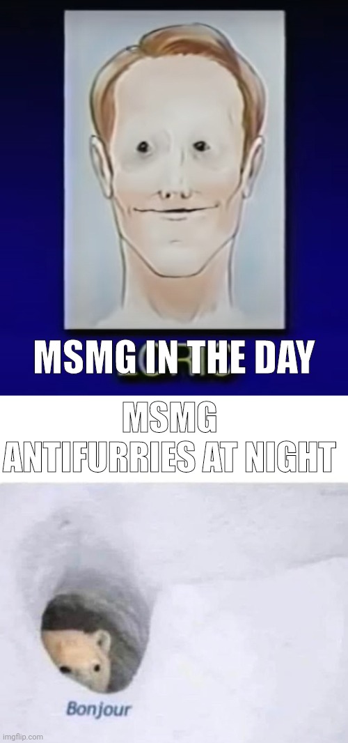 Idk why, but this is just how it is (this is why I migrate streams at night) | MSMG IN THE DAY; MSMG ANTIFURRIES AT NIGHT | image tagged in loric face,bonjour | made w/ Imgflip meme maker