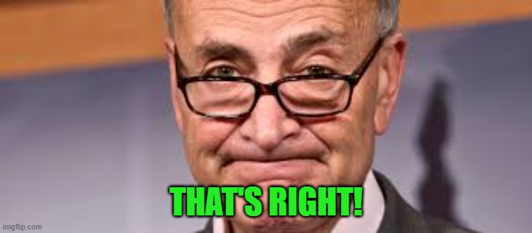 Chuck Shumer | THAT'S RIGHT! | image tagged in chuck shumer | made w/ Imgflip meme maker