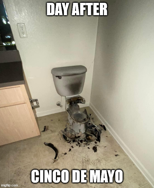 Day After Cinco De Mayo | DAY AFTER; CINCO DE MAYO | image tagged in funny,toilet,cinco de mayo | made w/ Imgflip meme maker