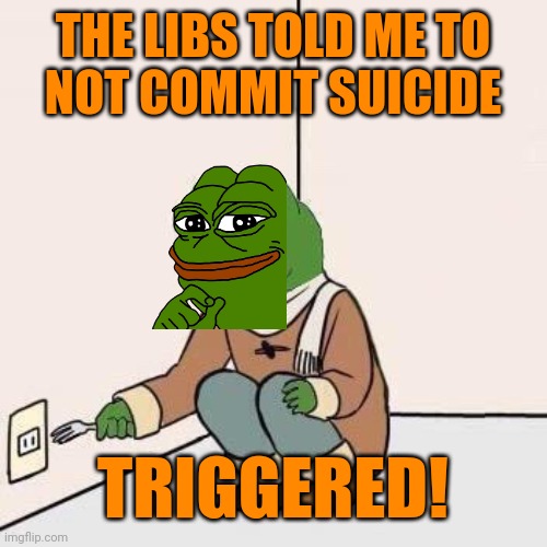 Sad Pepe Suicide | THE LIBS TOLD ME TO
NOT COMMIT SUICIDE TRIGGERED! | image tagged in sad pepe suicide | made w/ Imgflip meme maker