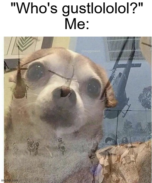 Istg every time I gustlololol in someone's name, I wanna go insane- | "Who's gustlololol?"
Me: | image tagged in ptsd chihuahua | made w/ Imgflip meme maker