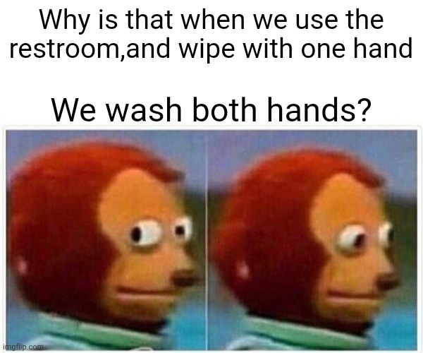 Not, both hands. | Why is that when we use the restroom,and wipe with one hand; We wash both hands? | image tagged in memes,monkey puppet | made w/ Imgflip meme maker