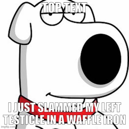 Brian Griffin Smug | TOP TEXT; I JUST SLAMMED MY LEFT TESTICLE IN A WAFFLE IRON | image tagged in brian griffin smug | made w/ Imgflip meme maker