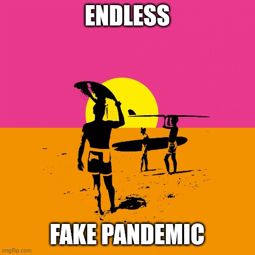 Endless Summer (No Text) | ENDLESS; FAKE PANDEMIC | image tagged in endless summer no text | made w/ Imgflip meme maker