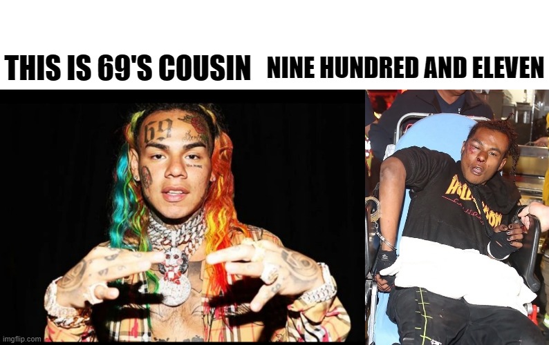 NINE HUNDRED AND ELEVEN; THIS IS 69'S COUSIN | image tagged in sixnine,memes,funny | made w/ Imgflip meme maker
