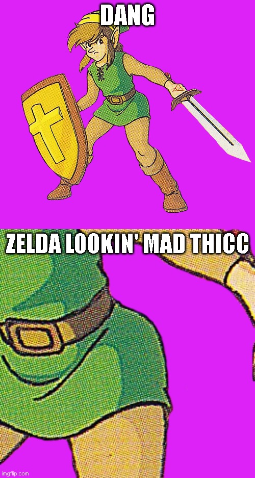 Zelda's so thicc lol | DANG; ZELDA LOOKIN' MAD THICC | image tagged in legend of zelda,the legend of zelda,nintendo | made w/ Imgflip meme maker