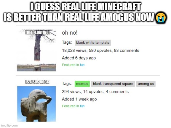 NOOOOOOOOO!!!!!!!!!!!!!!!!!! | I GUESS REAL LIFE MINECRAFT
IS BETTER THAN REAL LIFE AMOGUS NOW😭 | image tagged in sad but true | made w/ Imgflip meme maker