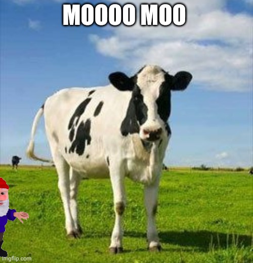 MOOOO MOO | made w/ Imgflip meme maker