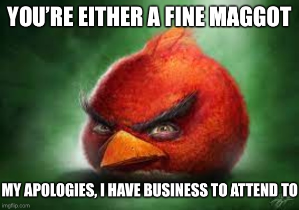 Realistic Red Angry Birds | YOU’RE EITHER A FINE MAGGOT; MY APOLOGIES, I HAVE BUSINESS TO ATTEND TO | image tagged in realistic red angry birds | made w/ Imgflip meme maker