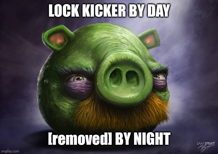 Realistic angry birds | LOCK KICKER BY DAY; [removed] BY NIGHT | image tagged in realistic angry birds | made w/ Imgflip meme maker