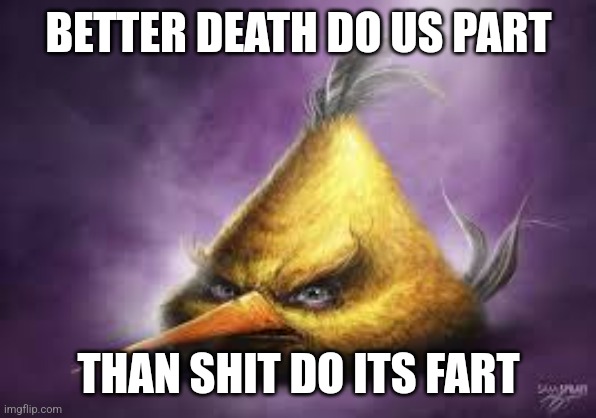 Realistic angry bird | BETTER DEATH DO US PART; THAN SHIT DO ITS FART | image tagged in realistic angry bird | made w/ Imgflip meme maker