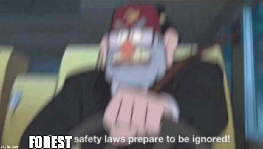 Road safety laws prepare to be ignored! | FOREST | image tagged in road safety laws prepare to be ignored | made w/ Imgflip meme maker