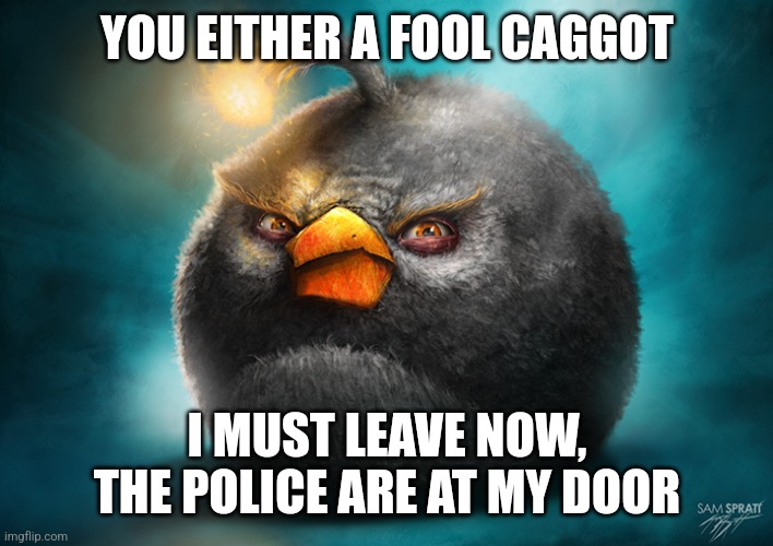 Realistic Bomb Angry Bird | YOU EITHER A FOOL CAGGOT; I MUST LEAVE NOW, THE POLICE ARE AT MY DOOR | image tagged in realistic bomb angry bird | made w/ Imgflip meme maker