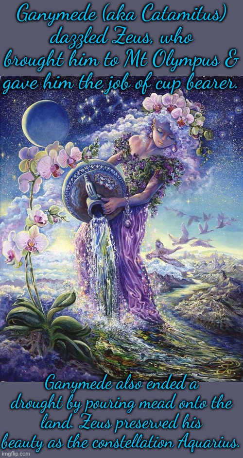 Astrologers say we are living in the age of Aquarius now. | Ganymede (aka Catamitus) dazzled Zeus, who brought him to Mt Olympus & gave him the job of cup bearer. Ganymede also ended a drought by pouring mead onto the land. Zeus preserved his beauty as the constellation Aquarius. | image tagged in orchid goddess,femboy,zodiac signs,lgbt,greek mythology | made w/ Imgflip meme maker