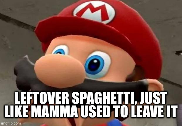Mario WTF | LEFTOVER SPAGHETTI, JUST LIKE MAMMA USED TO LEAVE IT | image tagged in mario wtf | made w/ Imgflip meme maker
