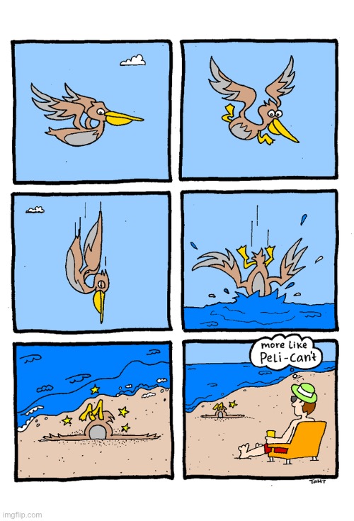 Peli-Can’t | image tagged in comics,pelican,funny,memes,beach | made w/ Imgflip meme maker