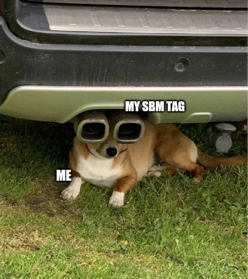 Dog exhaust |  MY SBM TAG; ME | image tagged in cheems | made w/ Imgflip meme maker