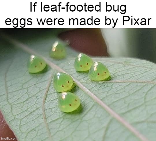 Forbidden Snacks | If leaf-footed bug eggs were made by Pixar | image tagged in meme,memes,humor,pixar | made w/ Imgflip meme maker