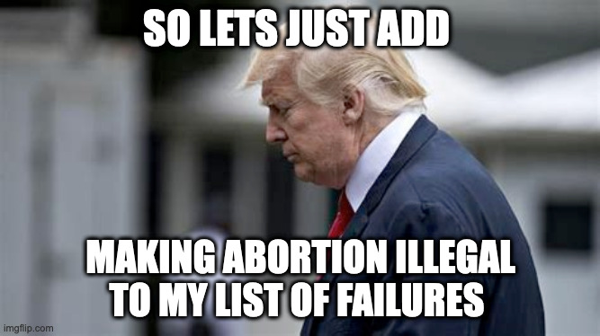 SO LETS JUST ADD; MAKING ABORTION ILLEGAL TO MY LIST OF FAILURES | made w/ Imgflip meme maker