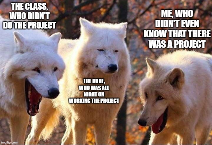 Suspending the project or extending its due date will make that dude very sleepy | THE CLASS, WHO DIDN'T DO THE PROJECT; ME, WHO DIDN'T EVEN KNOW THAT THERE WAS A PROJECT; THE DUDE, WHO WAS ALL NIGHT ON WORKING THE PROJECT | image tagged in laughing wolf | made w/ Imgflip meme maker