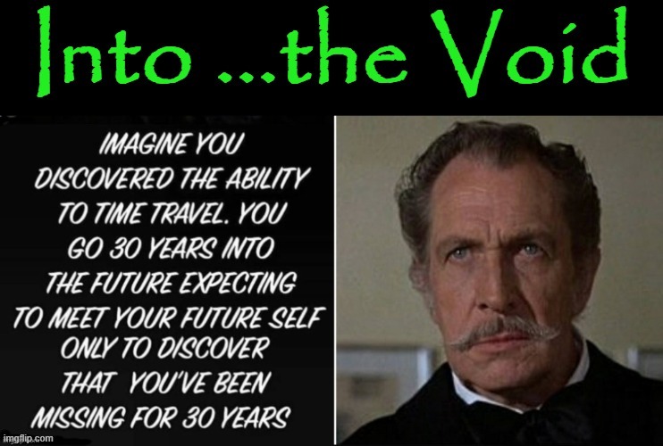 Into the Void | image tagged in vincent price | made w/ Imgflip meme maker