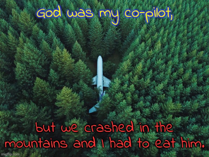 Gave me heartburn... | God was my co-pilot, but we crashed in the mountains and I had to eat him. | image tagged in forest plane,cannibalism,blasphemy | made w/ Imgflip meme maker