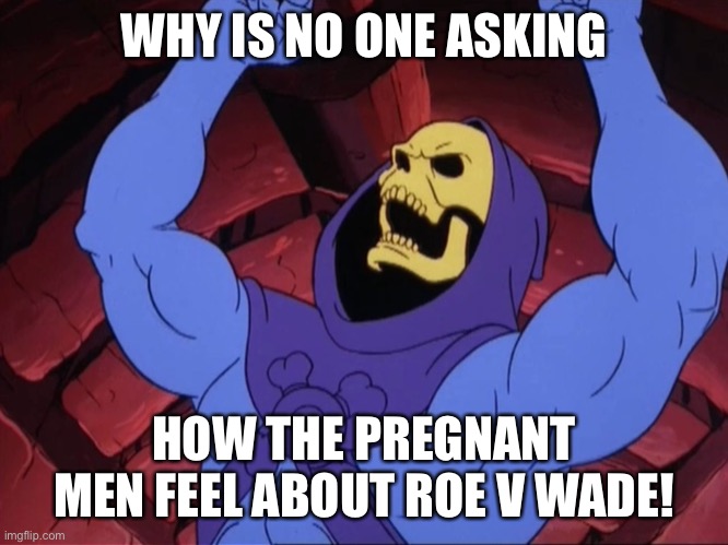 Skeletor | WHY IS NO ONE ASKING; HOW THE PREGNANT MEN FEEL ABOUT ROE V WADE! | image tagged in skeletor | made w/ Imgflip meme maker