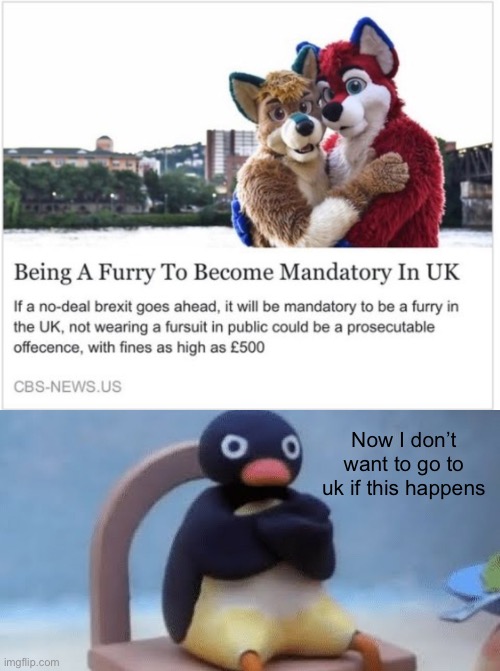 Why furries…… | Now I don’t want to go to uk if this happens | image tagged in now i don't want,anti furry | made w/ Imgflip meme maker